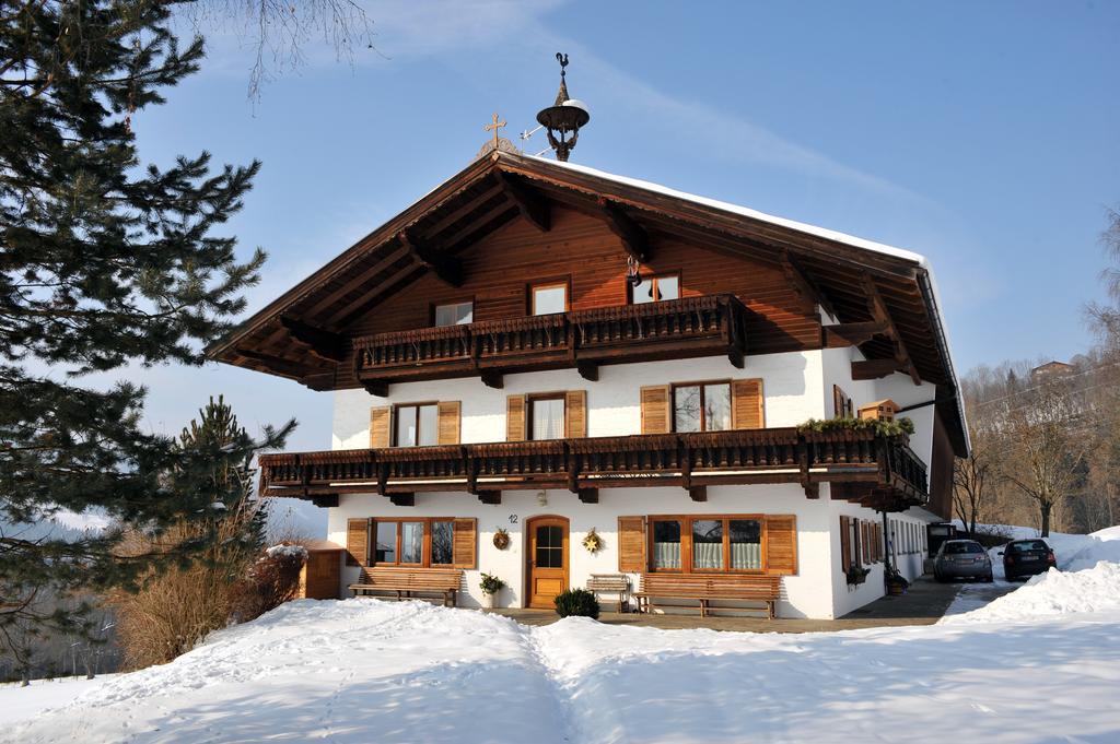 Апартаменты Gugghof Хопфгартен-им-Бриксенталь Номер фото
